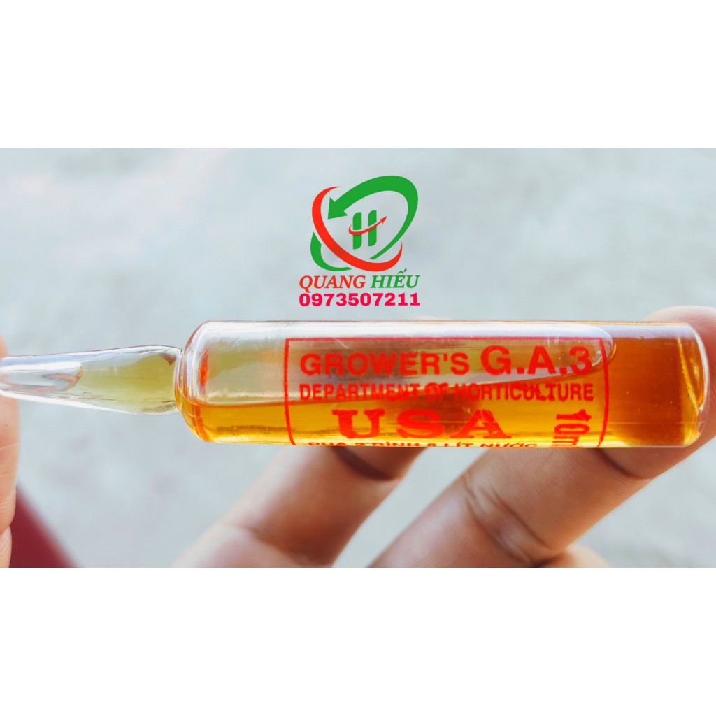 Ga3 USA ống dạng nước cao cấp nhập khẩu không lem trái 10ML