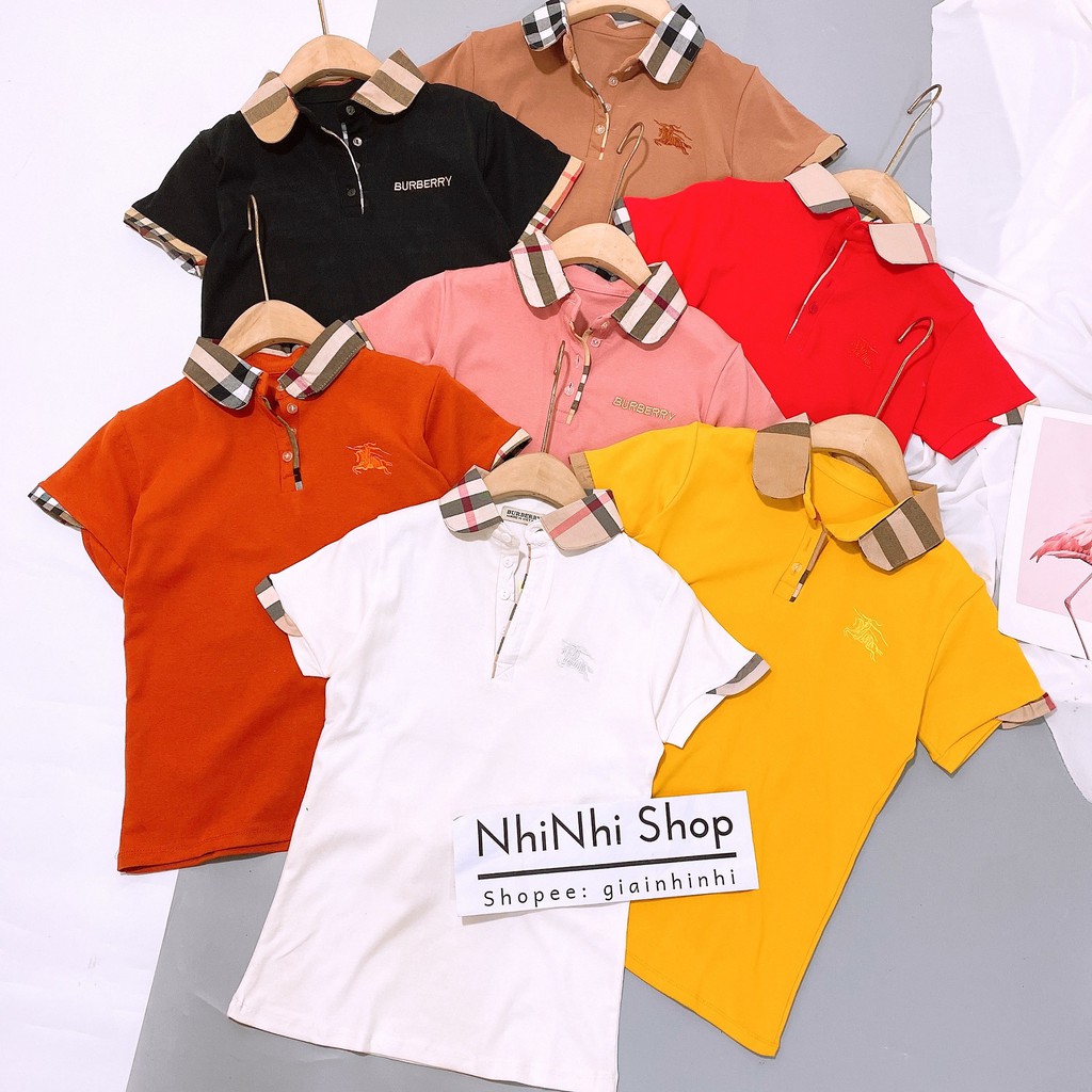 Áo thun cổ bẻ pha kẻ BBR ôm dáng, Áo phông ngắn tay thêu ngựa AS6012 - NhiNhi Shop