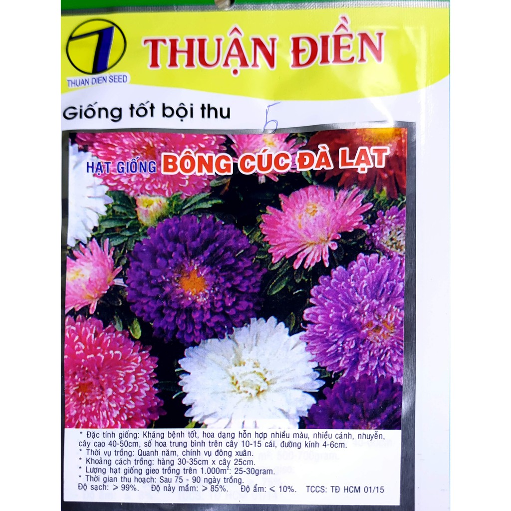 hạt giống hoa cúc đà lạt ( 5 gram )