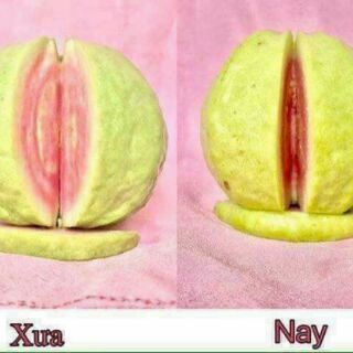 Gel vệ sinh phụ nữ