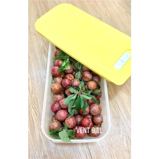 Hộp trữ mát Tupperware Ventsmart 6.1L - Hàng chính hãng