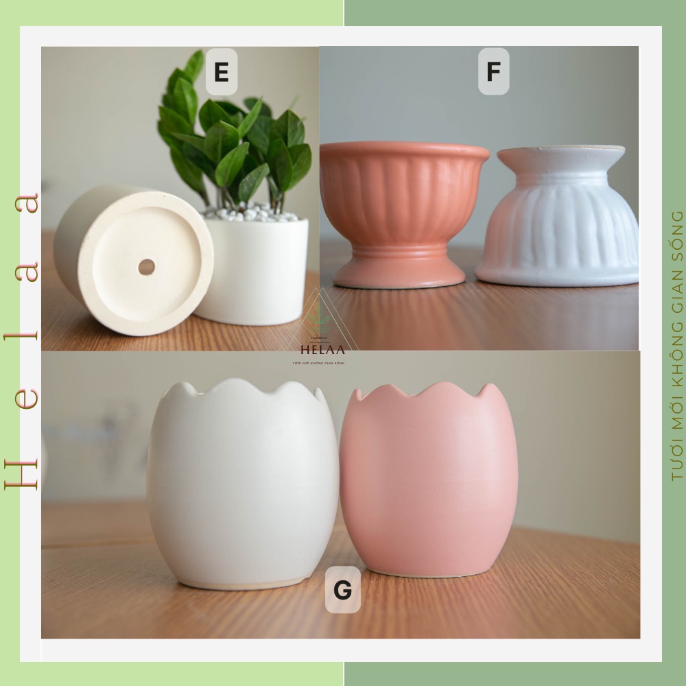 Chậu Sứ Mini Bát Tràng, Chậu Gốm Sứ Trồng Cây Để Bàn, Trồng Sen Đá, Xương Rồng, Trang Trí Bàn Làm Việc - Size Tầm Trung