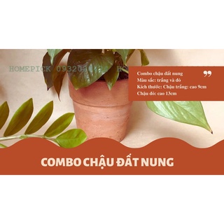 COMBO CHẬU ĐẤT NUNG