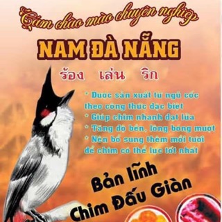 Cám chào mào chuyên nghiệp