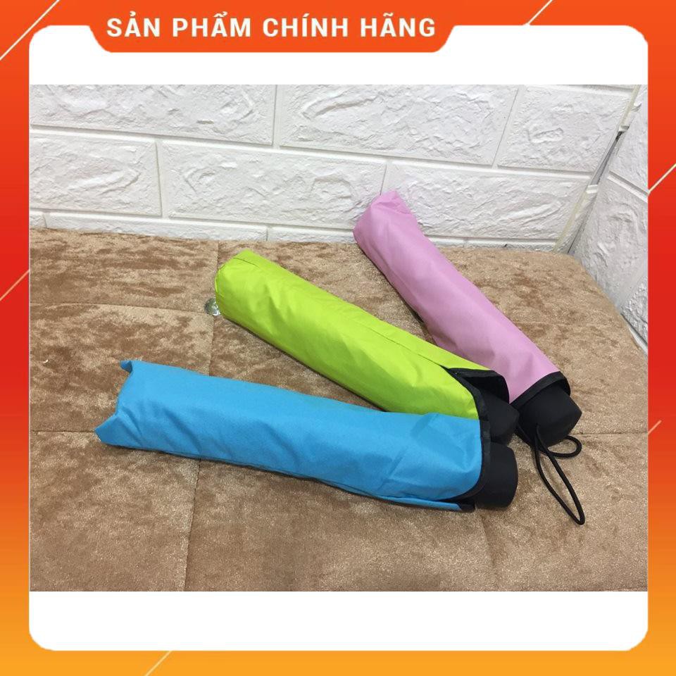 [HÀNG SIÊU TỐT] Ô gặp nước nở hoa kì diệu