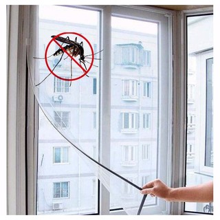 Lưới chống muỗi và côn trùng cho cửa sổ