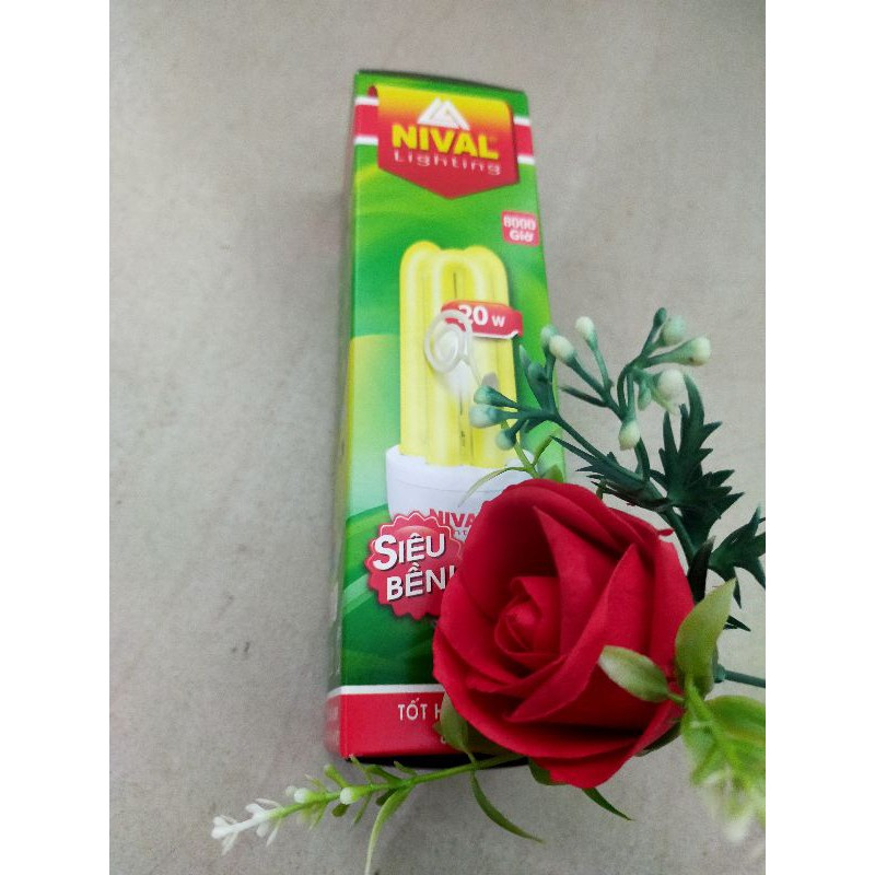 Bóng đèn compact chong hoa, trái câyl