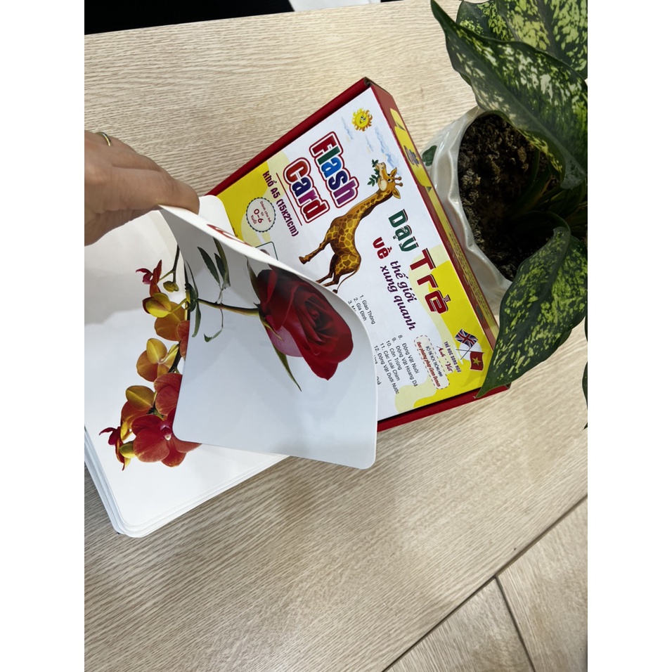 Bộ thẻ học thông minh loại TO A5 15x 21cm dạy bé học chữ cái, flash card tiếng Anh, dạy nhận biết về Thế giới xung quanh