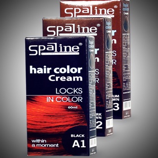 NHUỘM PHỦ BẠC SPALINE LAVO