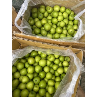 1Kg Táo Phan Rang Trái vừa (25-30 quả)