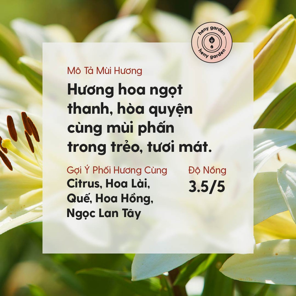 Tinh Dầu Lily (Hoa Ngọt Phấn) Organic Thiên Nhiên Nguyên Chất Đậm Đặc Xông Thơm Phòng, Làm Nến Thơm HENY GARDEN