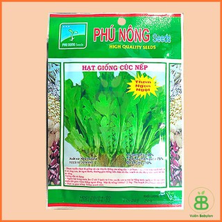 Hạt Giống Cúc Nếp , Dễ Trồng, Năng Suất Cao Phú Nông - Gói 20G
