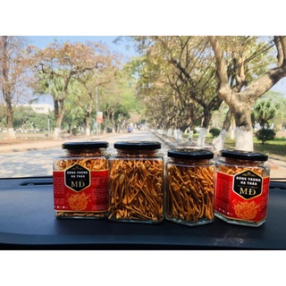 Đông trùng hạ thảo khô 10g
