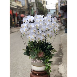🌸 Hoa Lan Hồ Điệp Cao Su Giả 9 Bông - LOẠI 1