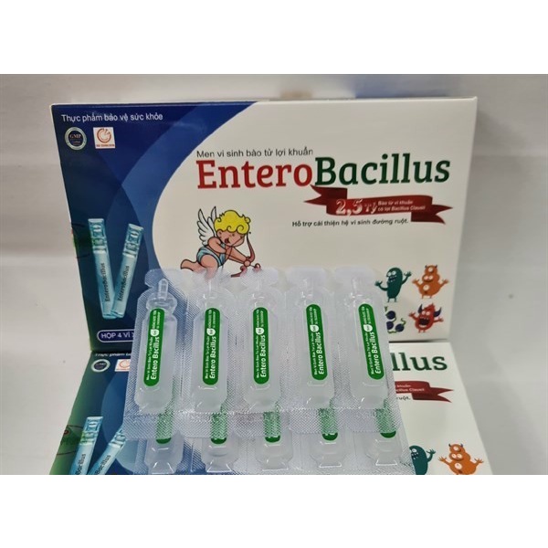 Men tiêu hoá Entero Bacillus cân bằng vi khuẩn đường ruột
