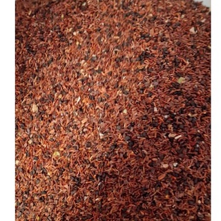 50Gram/gói Hạt giống cây gỗ bạch đàn đỏ