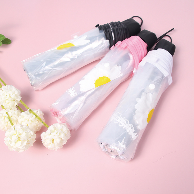 Automatic transparent umbrella folding daisy simple trend Japanese small fresh student wind and wind