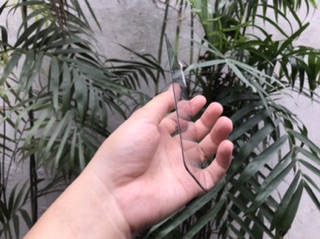 Cường lực full màn Lg G8