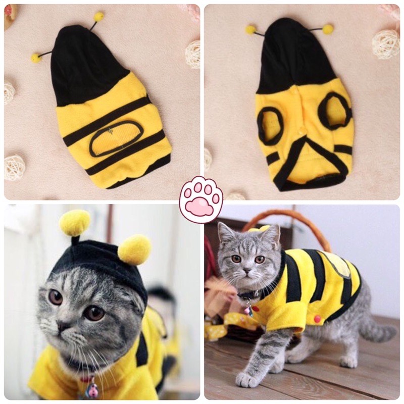 🐝 Áo khoác có nón con ong vàng cho chó mèo thú cưng từ 1-15kg