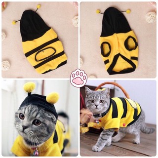 🐝 Áo khoác có nón con ong vàng cho chó mèo thú cưng từ 1-15kg