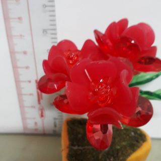 HOA PHA LÊ ĐỂ BÀN