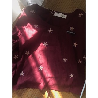 Áo croptop thêu hoa dài tay (ảnh thật ở cuối)