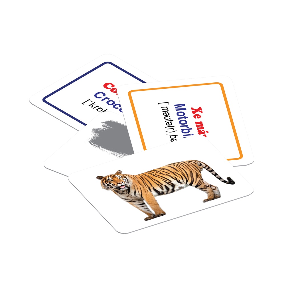 Thẻ học - Bộ Thẻ Học Thông Minh FlashCard (Size Lớn - 18 Chủ đề - 288 thẻ) - Song ngữ Anh - Việt | BigBuy360 - bigbuy360.vn
