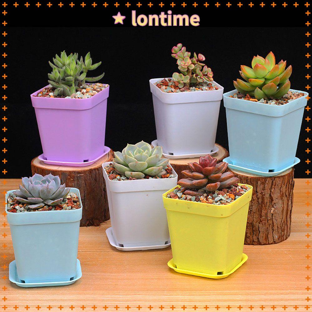 Chậu Nhựa Trồng Cây Tiện Lợi