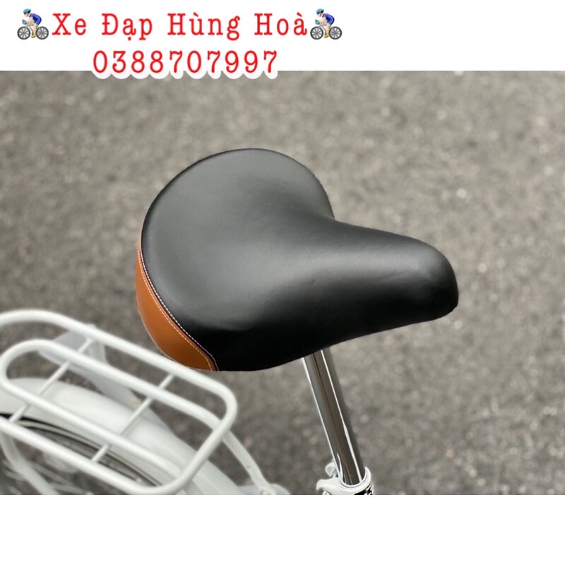 Xe Đạp Gấp Nhật Diamant M246