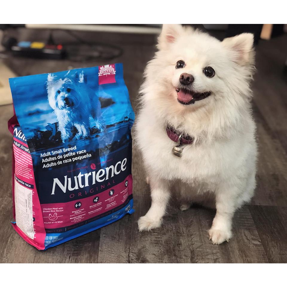 Thức Ăn Cho Chó Chihuahua Nutrience Original Bao 500g Dầu Cá Hồi, Da Lông Bóng Mượt - Thịt Gà, Rau Củ Quả, Trái Cây