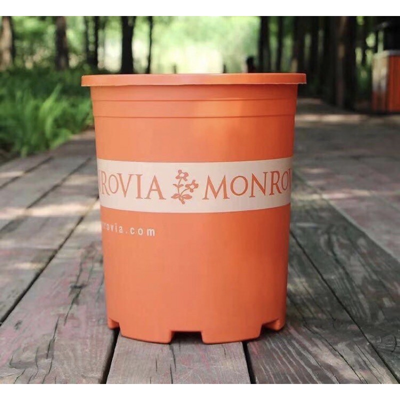 🍀 Chậu Nhựa Trồng Cây 3 Màu Rộng 18cm x Cao 25cm