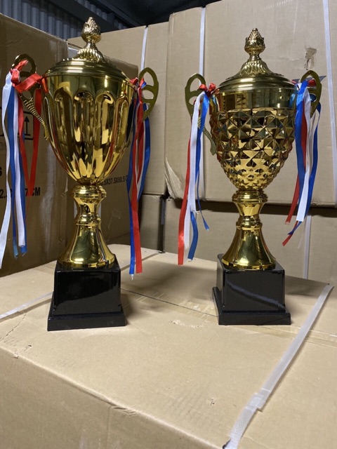 Cúp thể thao kim loại