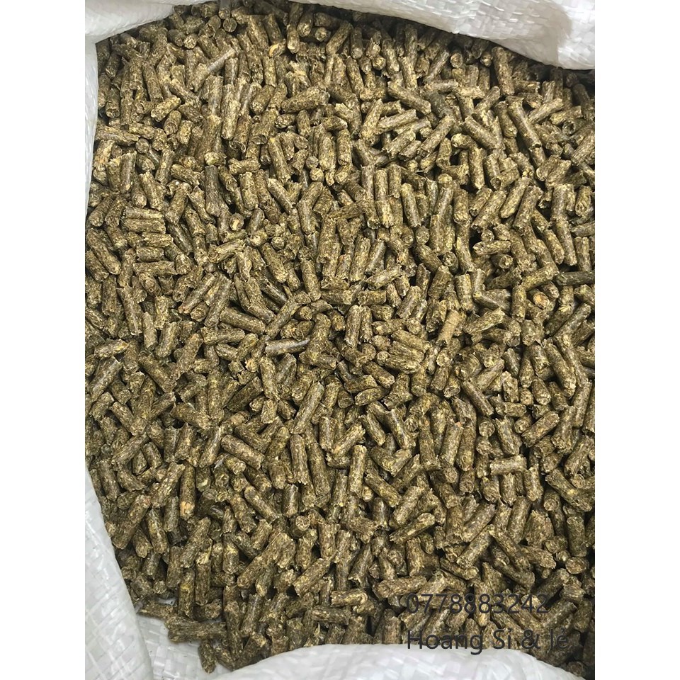 Cỏ linh lăng Alfalfa  dành cho gà đá