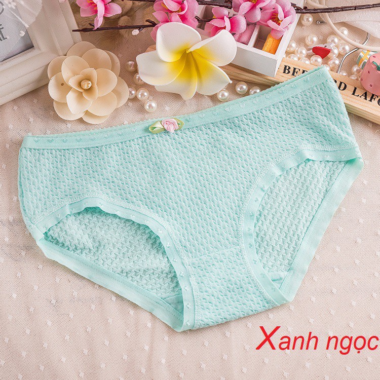 [Mã FAMAYFA2 giảm 10K đơn 50K] QUẦN LÓT COTTON CAO CẤP CO GIÃN QL8108A | BigBuy360 - bigbuy360.vn