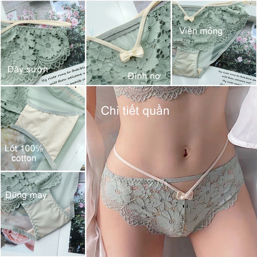 Bộ áo ngực quần lót nữ đệm dày 3cm tiểu thư sang chảnh - Bộ đồ lót nữ cao cấp Havana FLA60