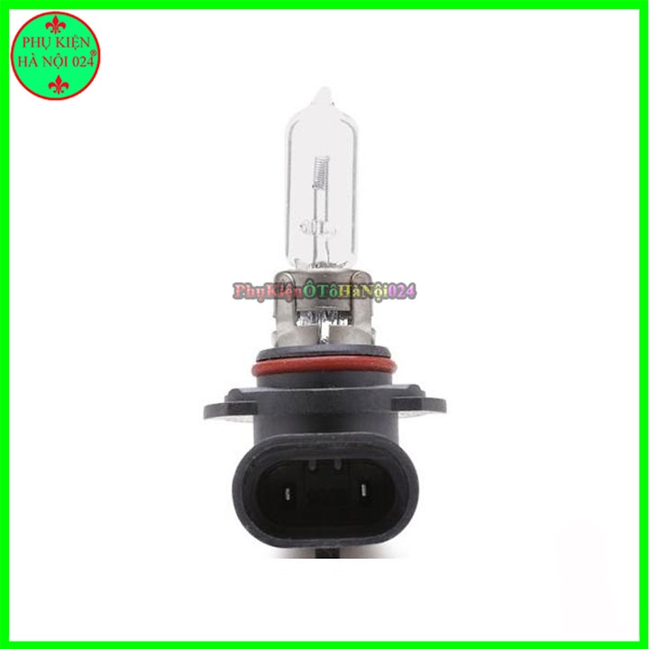 Bóng đèn Halogen Con Cú H11 12v 55W