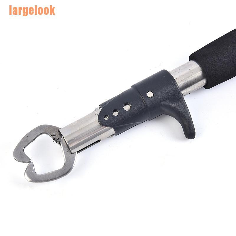 1 Kẹp Cá Đặc Biệt