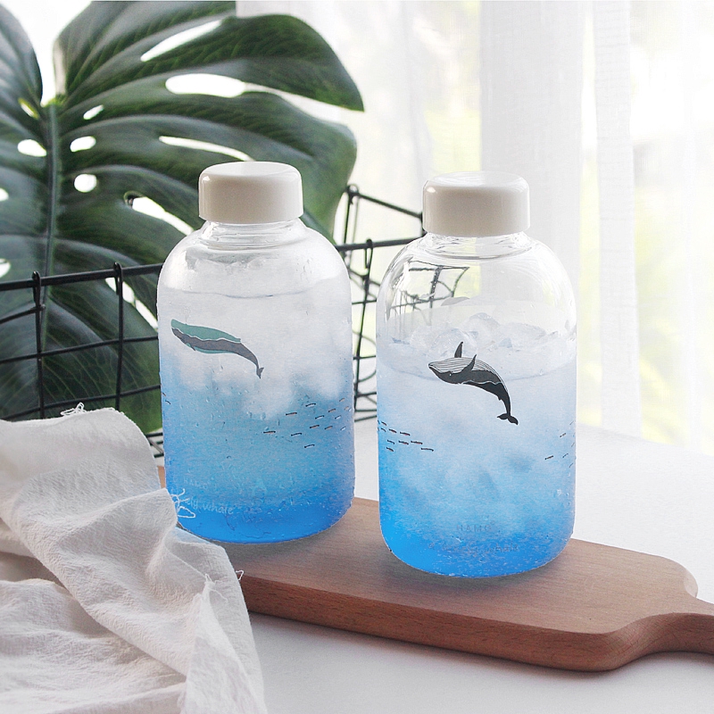 Bình Nước Thuỷ Tinh Màu Gradient