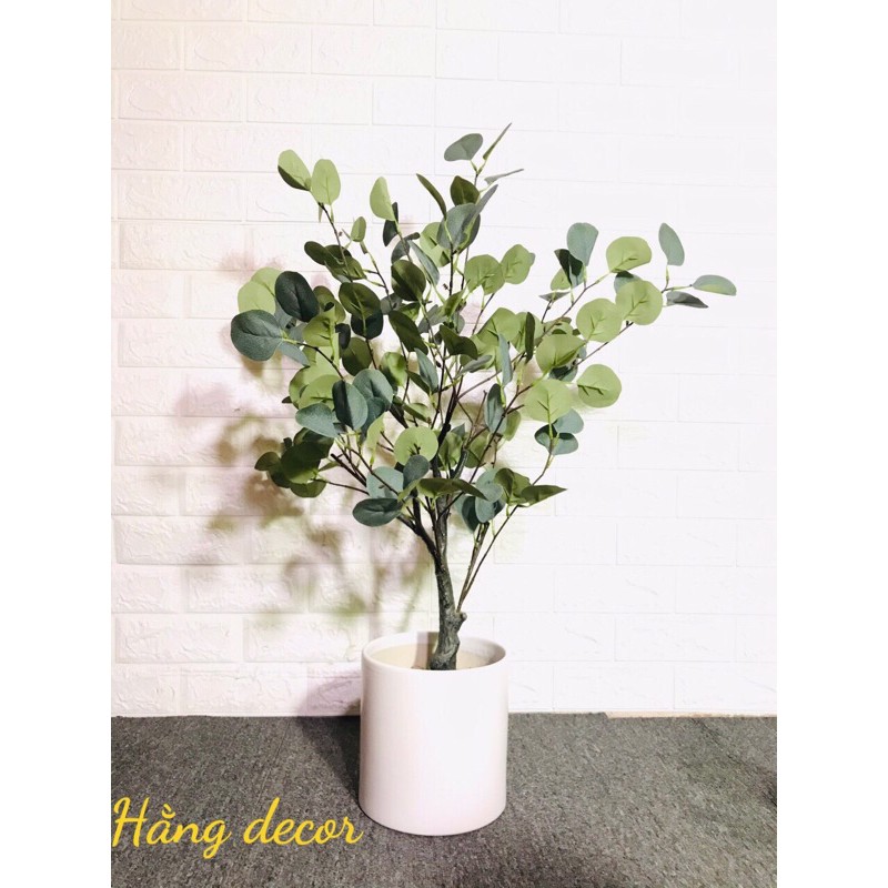 Cây bạch đàn 85cm - cây giả decor