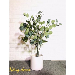 Cây bạch đàn 85cm - cây giả decor