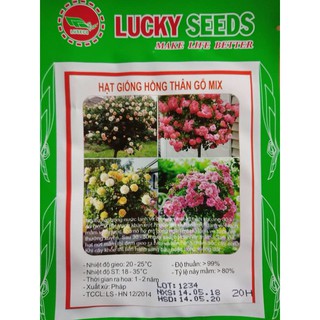 Combo Hoa hồng thân gỗ, táo đỏ lùn, hoa anh thảo, Hoa vân anh mix, dạ yến Thảo rủ F1, Phong Lữ Thảo, Trà Mi Nhật