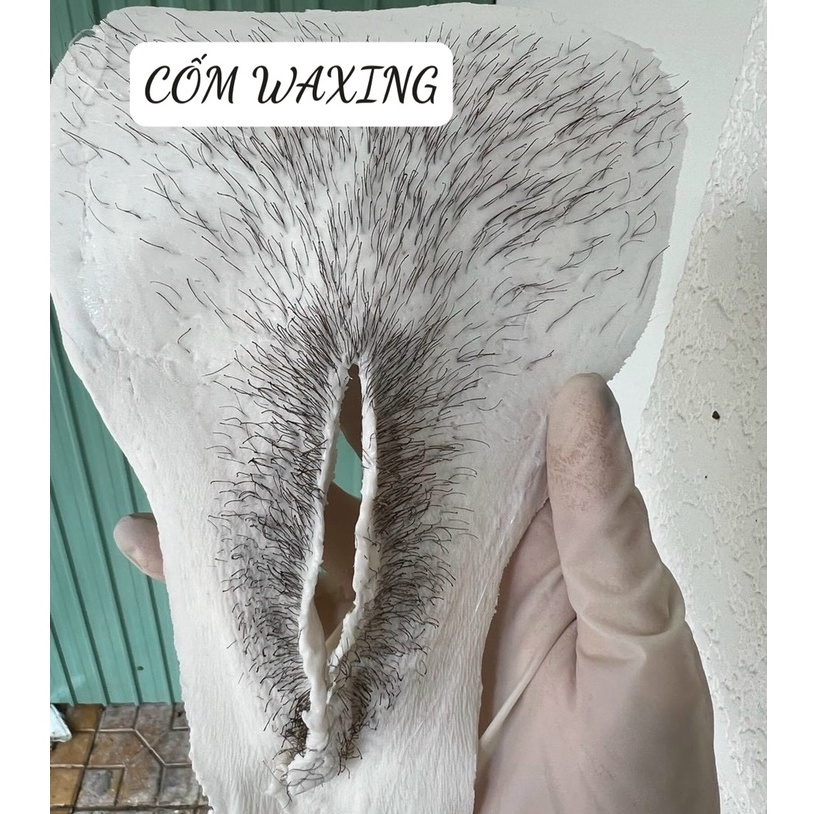 1Kg Sáp tẩy lông cao cấp siêu bám lông Coconut cho da nhạy cảm Tăng que phết sáp