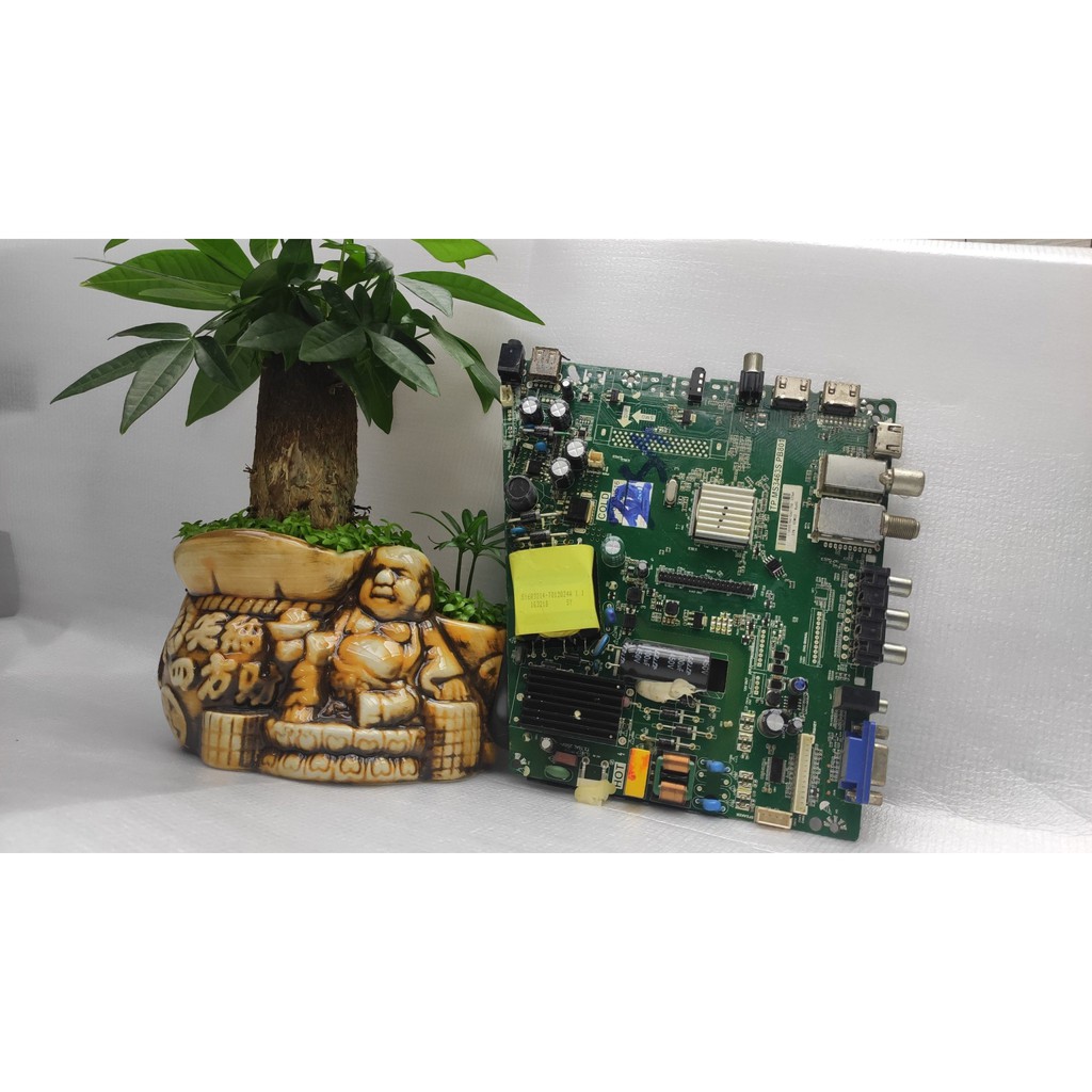 BO ASANZO CÁC LOẠI