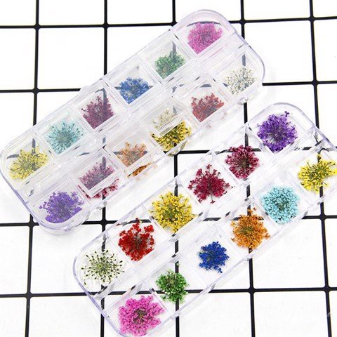 Sét hoa khô,hoa khô ẩn gel 12 màucực xinh cho chị em ngành nail