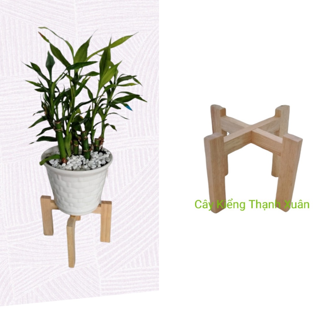 Kệ Đôn Mini Để Chậu Cây Cảnh, Để Bàn, Kệ Sách (Chân đế), Ráp Sẵn, Màu Gỗ Tự nhiên, Kích thước 11x11 cm, Lọt lòng 7cm