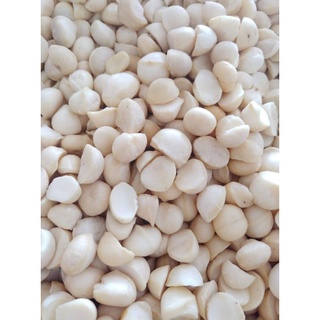 1kg HẠT MACCA SẤY NỨT VỎ