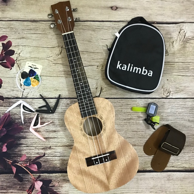 (SALE OFF) ĐAN UKULELE MG6 HOẠ TIẾT