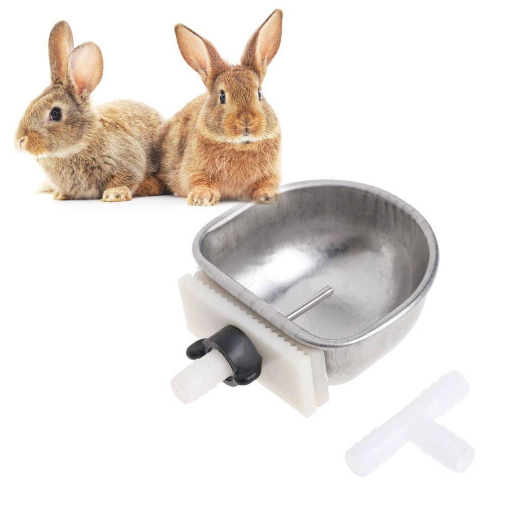 Tô Chữ T Cho Thỏ Ăn Uống Chống Sặc