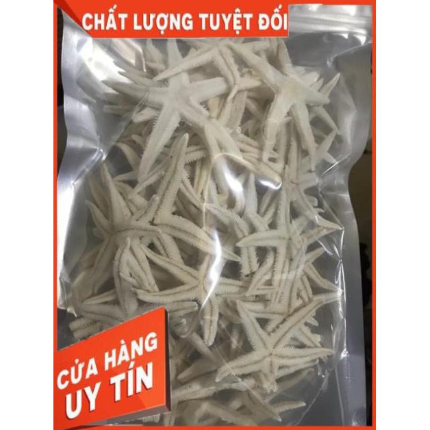 20 Con sao biển khô