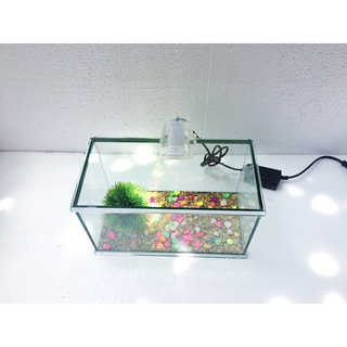 Bể cá mini 25cm- 30cm + đèn led ( tặng phụ kiện)